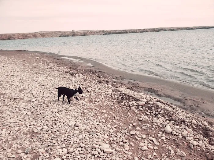 Tiber Marina Campground Picture 1