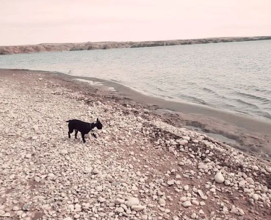 Tiber Marina Campground