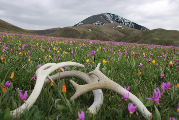 Broken Mountains Campground Picture 4