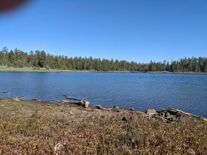 Delintment Lake Campground Picture 5