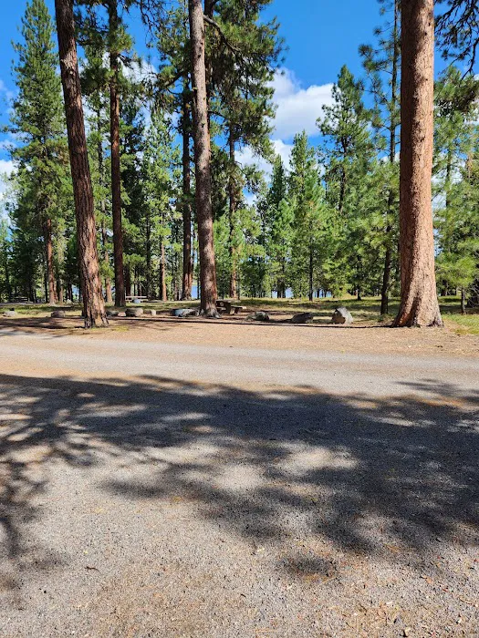 Delintment Lake Campground Picture 1