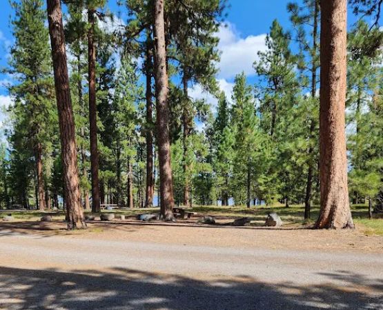 Delintment Lake Campground