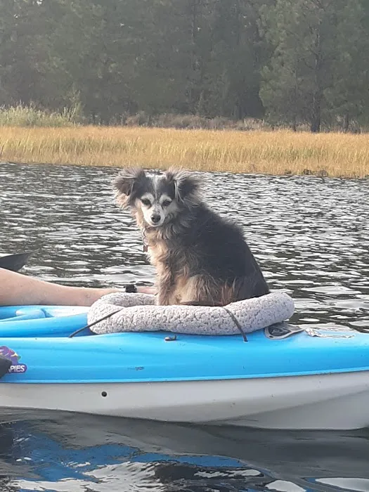 Delintment Lake Campground Picture 6