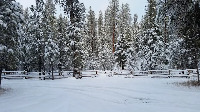 Buck Spring Campground Picture 5