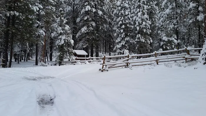 Buck Spring Campground Picture 8