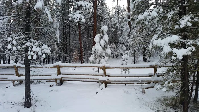 Buck Spring Campground Picture 7