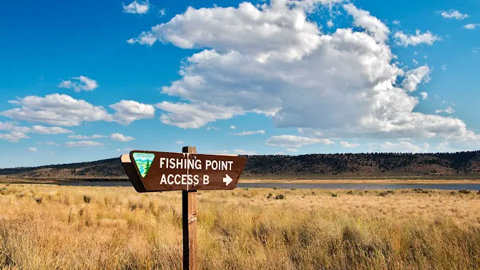 Chickahominy Recreation Site Picture 6