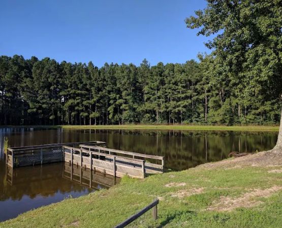 Rock Ridge Campground