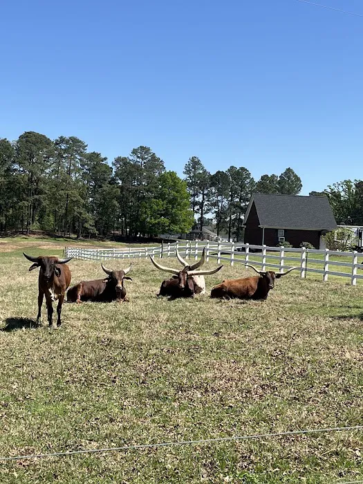 Rock Ridge Campground Picture 8