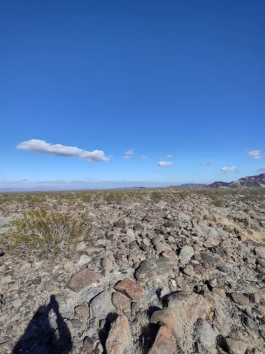 Camp'n Dirty Picture 3