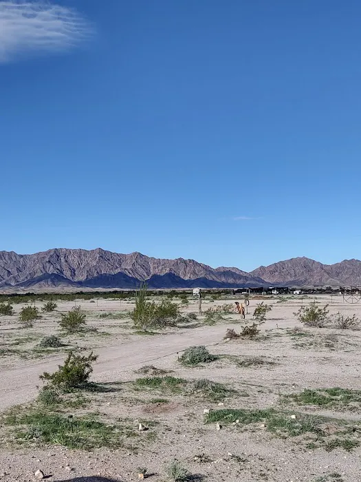 Camp'n Dirty Picture 8