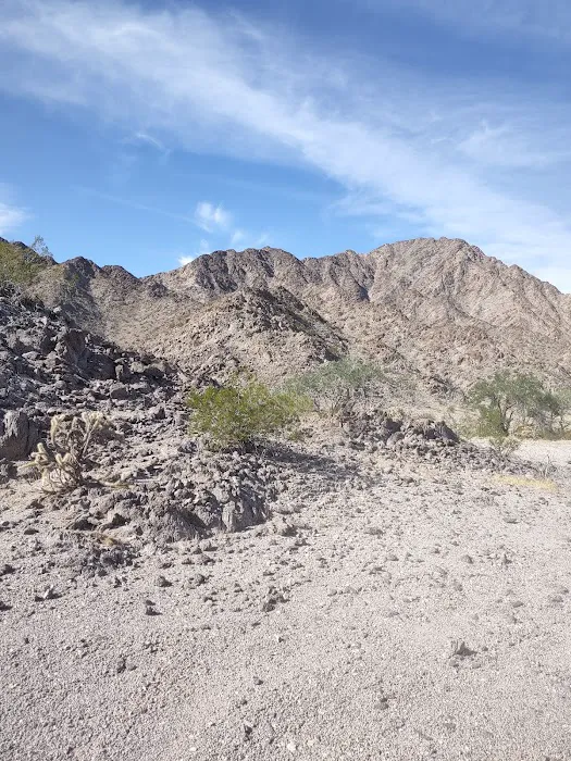 Camp'n Dirty Picture 6