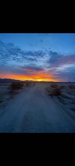 Camp'n Dirty Picture 1