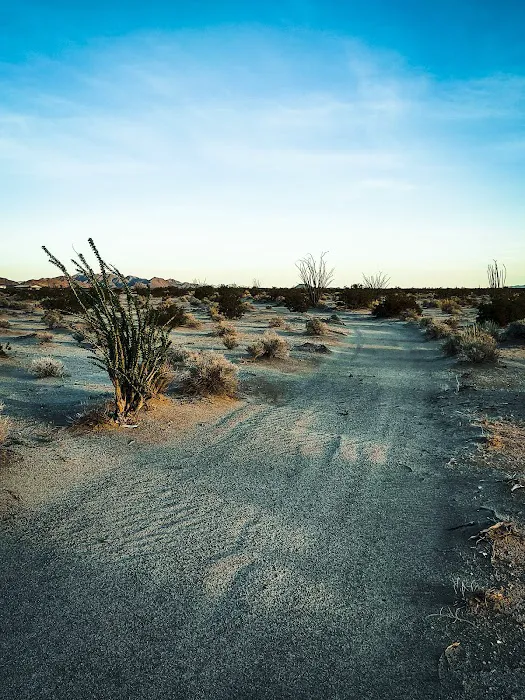 Camp'n Dirty Picture 4