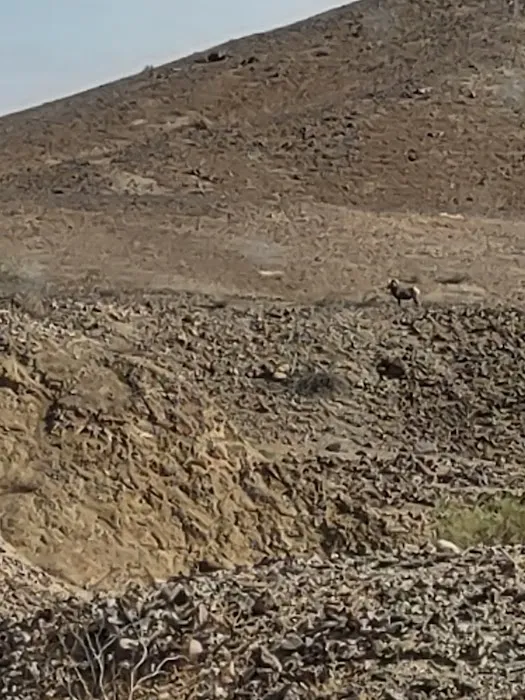 Camp'n Dirty Picture 2