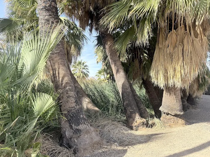 Hot Springs Long Term Visitor Area Picture 4