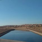 BLM Imperial Sand Dunes Campground