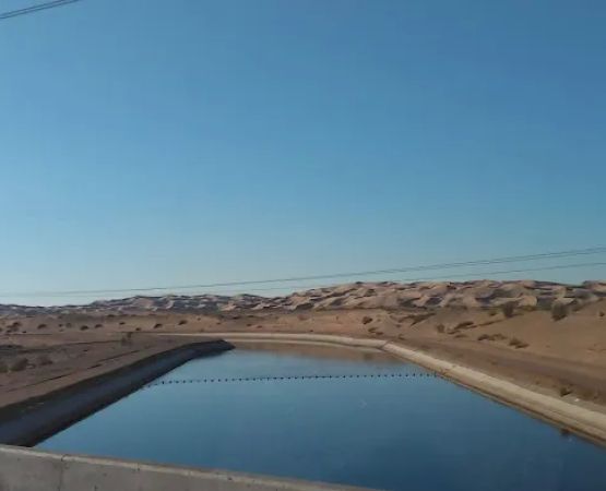 BLM Imperial Sand Dunes Campground