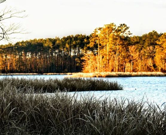 Indian Creek Recreation Area