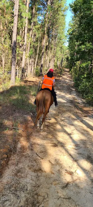 Ahtus Melder Campground Picture 7