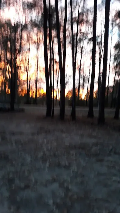 Ahtus Melder Campground Picture 1