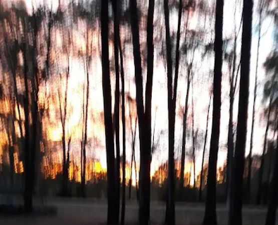 Ahtus Melder Campground