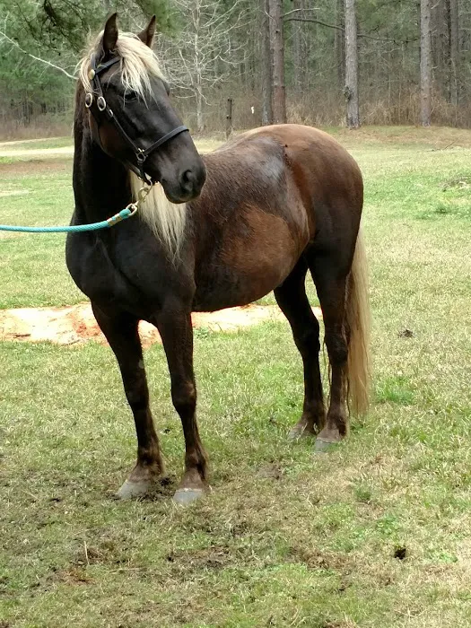 Ahtus Melder Campground Picture 4