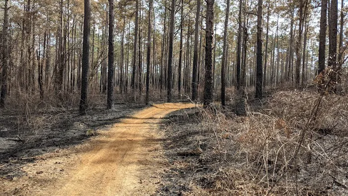 Loran Camp and Trailhead Picture 2