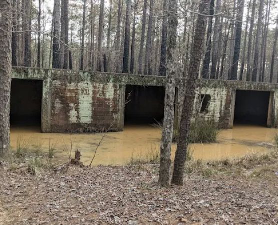 Loran Camp and Trailhead
