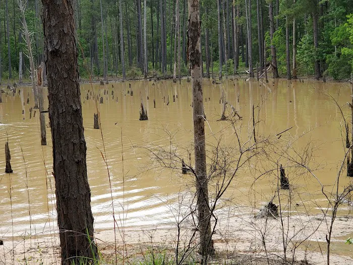 Loran Camp and Trailhead Picture 5