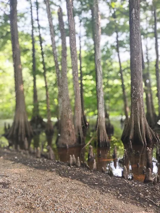 Loran Camp and Trailhead Picture 7