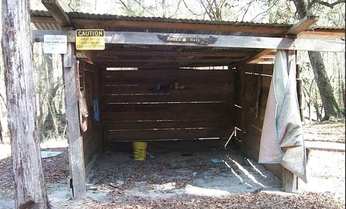 The Honey Hole Picture 1