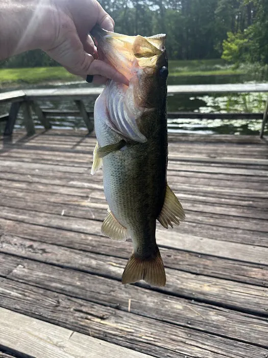Valentine Lake North Campground Picture 1