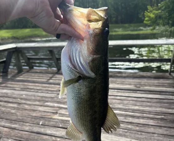 Valentine Lake North Campground