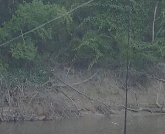 Woodland Ridge RV Park