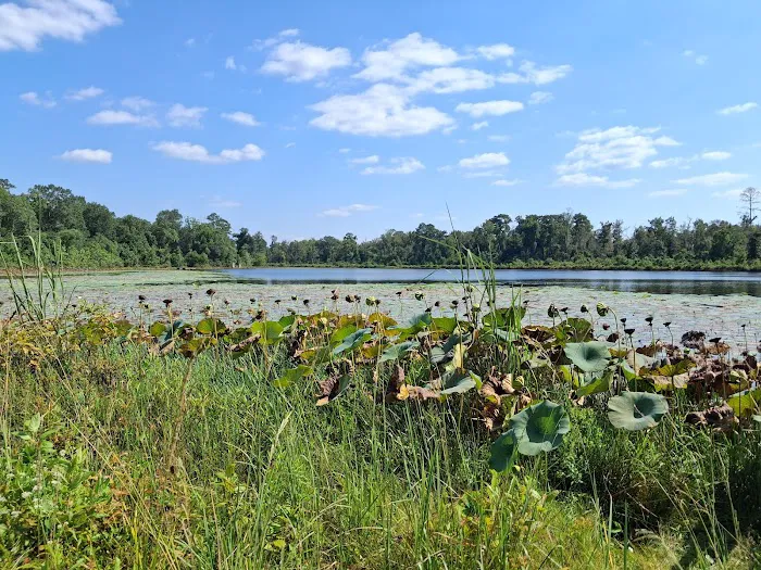 Fullerton Lake Campground Picture 2