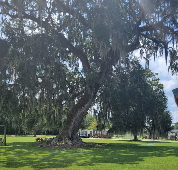 Hideaway Ponds Resort Picture 9