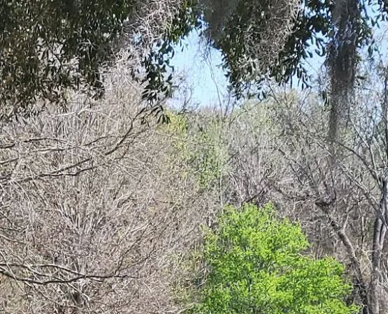 Hideaway Ponds Resort