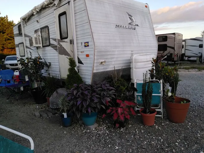 Kershaw's Cajun Village Picture 4