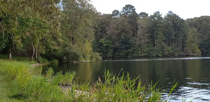 Cotile Recreation Area Picture 10