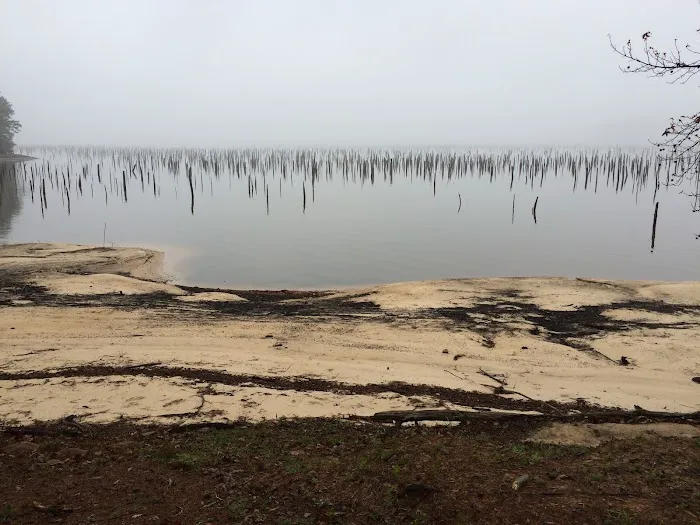 Cotile Recreation Area Picture 4