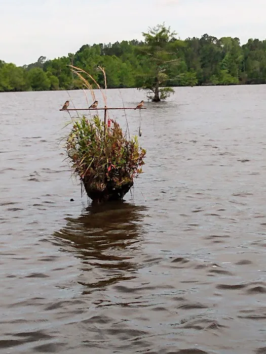 Cotile Recreation Area Picture 7