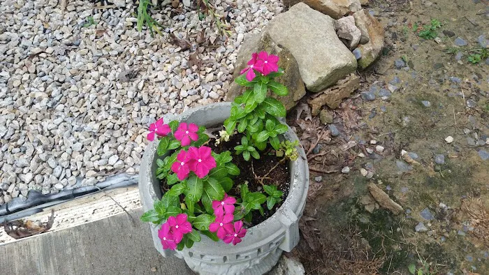 Riverbend RV Campground Picture 7