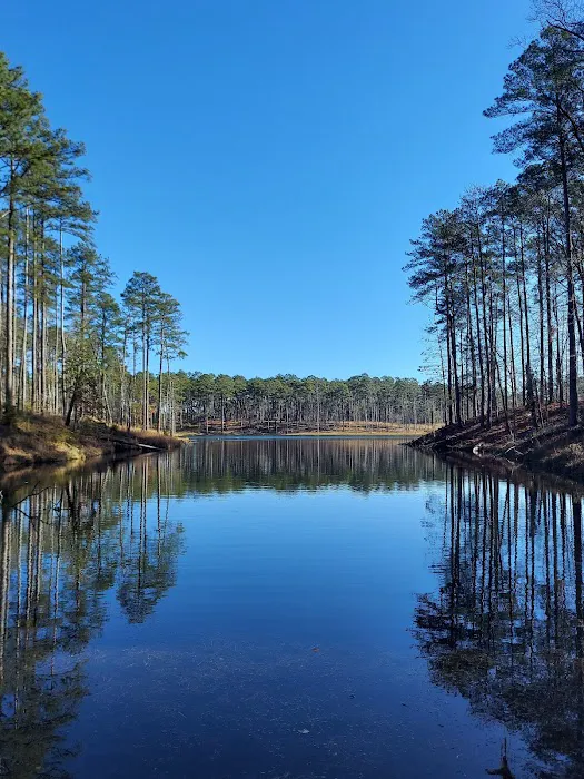 Gum Springs Campground and Picnic Area Picture 9