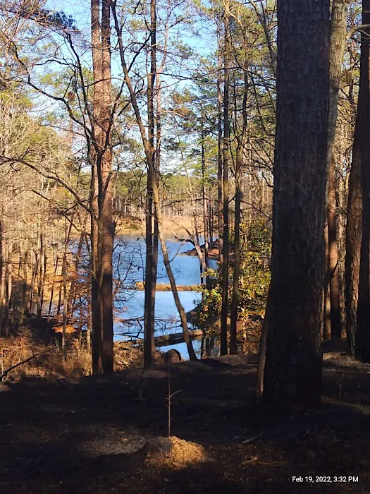 Gum Springs Campground and Picnic Area Picture 10