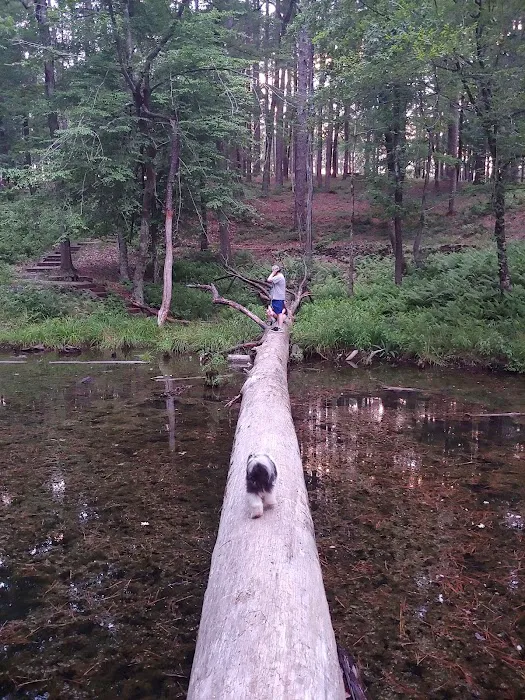 Gum Springs Campground and Picnic Area Picture 7