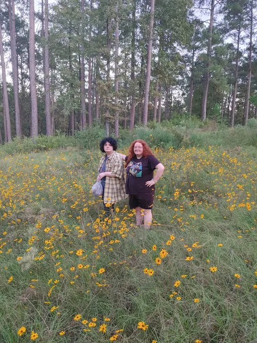 Gum Springs Campground and Picnic Area Picture 6