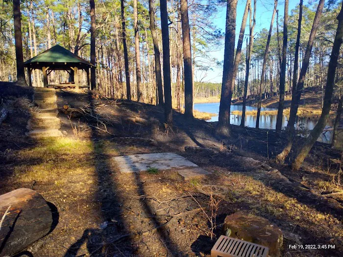 Gum Springs Campground and Picnic Area Picture 3