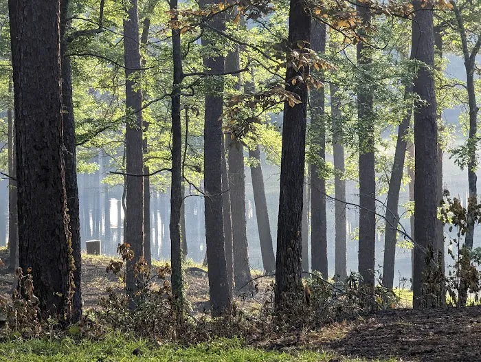 Gum Springs Campground and Picnic Area Picture 1