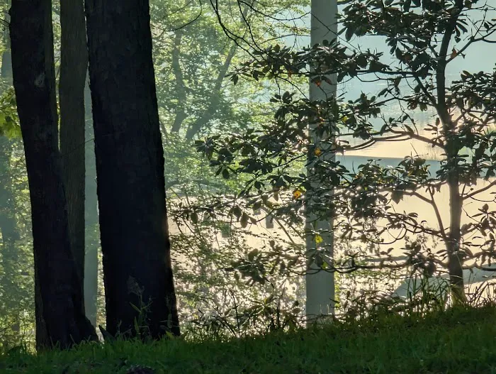 Gum Springs Campground and Picnic Area Picture 8